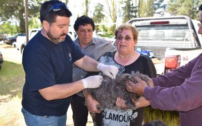“Municipio en tu barrio” atenderá a vecinos de las Villas Portal Canadá y José Manso de Velasco en Paillihue