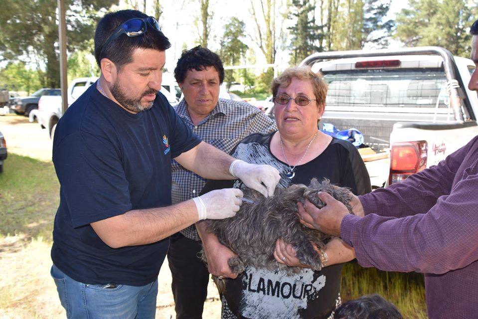 “Municipio en tu barrio” atenderá a vecinos de las Villas Portal Canadá y José Manso de Velasco en Paillihue