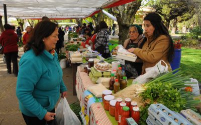 Concejo Municipal aprueba recursos para implementación de Prodesal