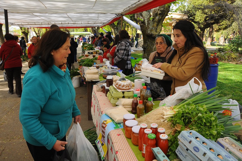 Concejo Municipal aprueba recursos para implementación de Prodesal