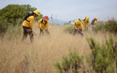Municipalidad activa plan de emergencia para prevenir incendios en la comuna