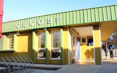 Situación Emergencia Sanitaria Covid 19, Municipalidad de Los Ángeles Reporte nº5