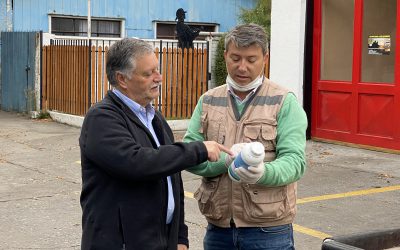 Situación Emergencia Sanitaria Covid 19, Municipalidad de Los Ángeles Reporte nº 4