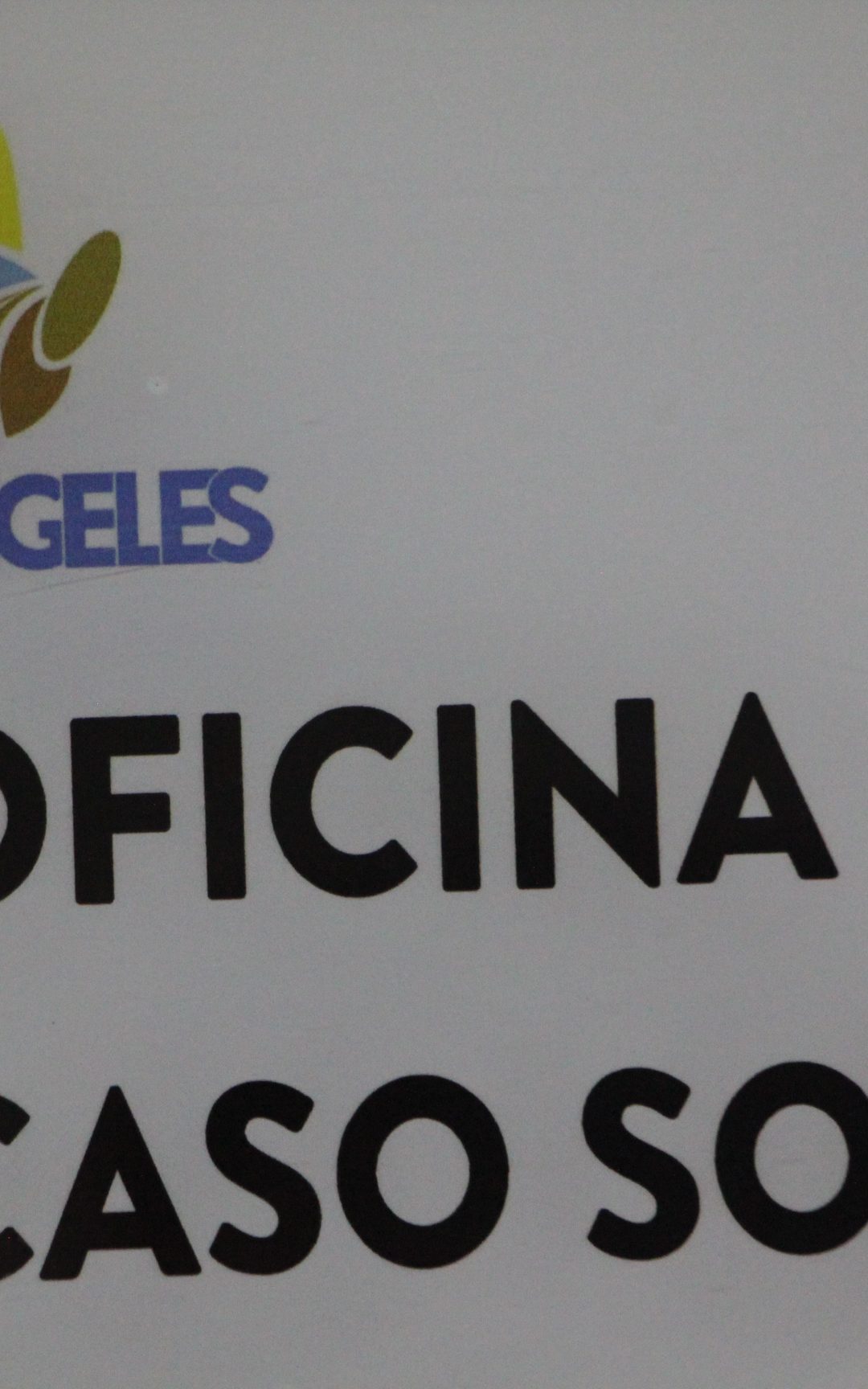Este 30 de abril vence el plazo para postular a la Beca Municipal