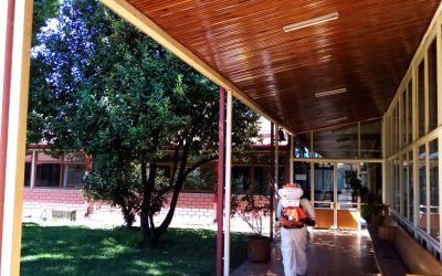 Situación Emergencia Sanitaria Covid 19, Municipalidad de Los Ángeles Reporte nº 7