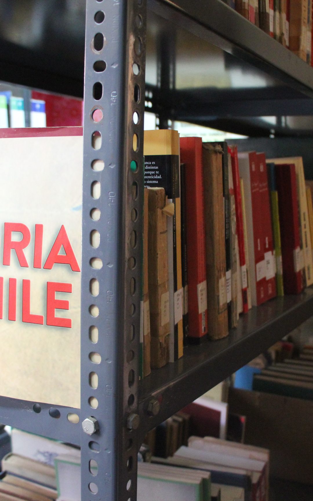 La Biblioteca municipal amplió el plazo de entrega de sus libros
