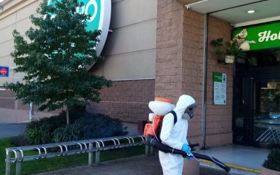 Situación Emergencia Sanitaria Covid 19, Municipalidad de Los Ángeles Reporte nº 9