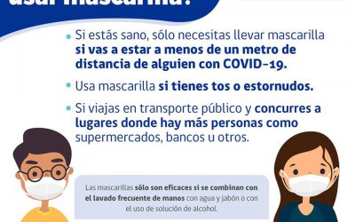 Situación Emergencia Sanitaria Covid 19, Municipalidad de Los Ángeles Reporte nº 10