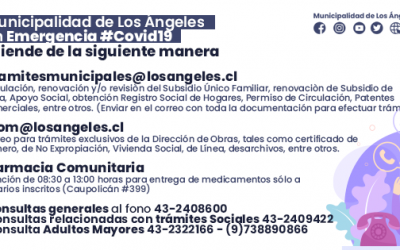 Situación Emergencia Sanitaria Covid 19, Municipalidad de Los Ángeles, Reporte nº 14
