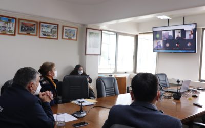 Alcaldes de Biobío exigen medidas de control más drásticas para frenar contagios por Covid-19