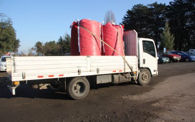 Empresa agrícola angelina donó más de 2700 kilos de papa gracias a la Mesa Social Covid-19