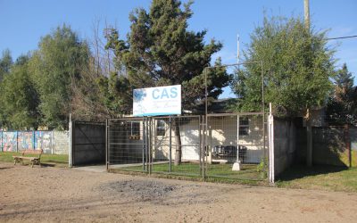 CAS de Los Ángeles retoman su funcionamiento normal con medidas sanitarias