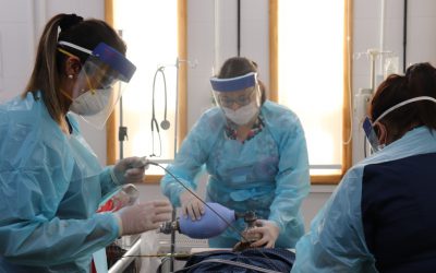 CESFAM Nororiente concentra mayor cantidad de casos Covid-19 en Los Ángeles