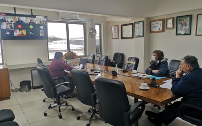 Municipios de Biobío y Seremi de Salud acuerdan acciones conjuntas en torno a Covid-19