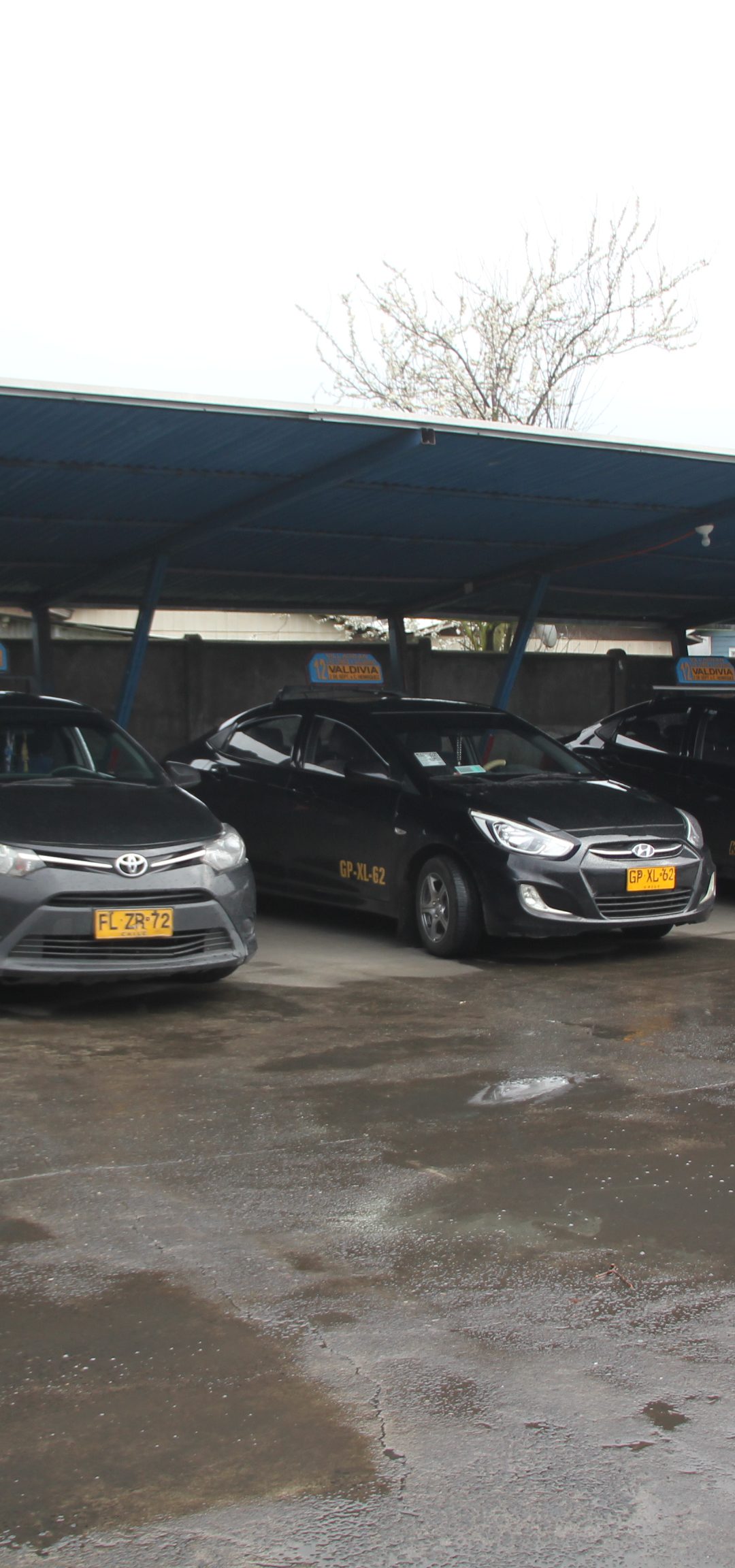 Líneas 12 y 8 de taxiscolectivos fueron beneficiadas con ayudas por parte del municipio