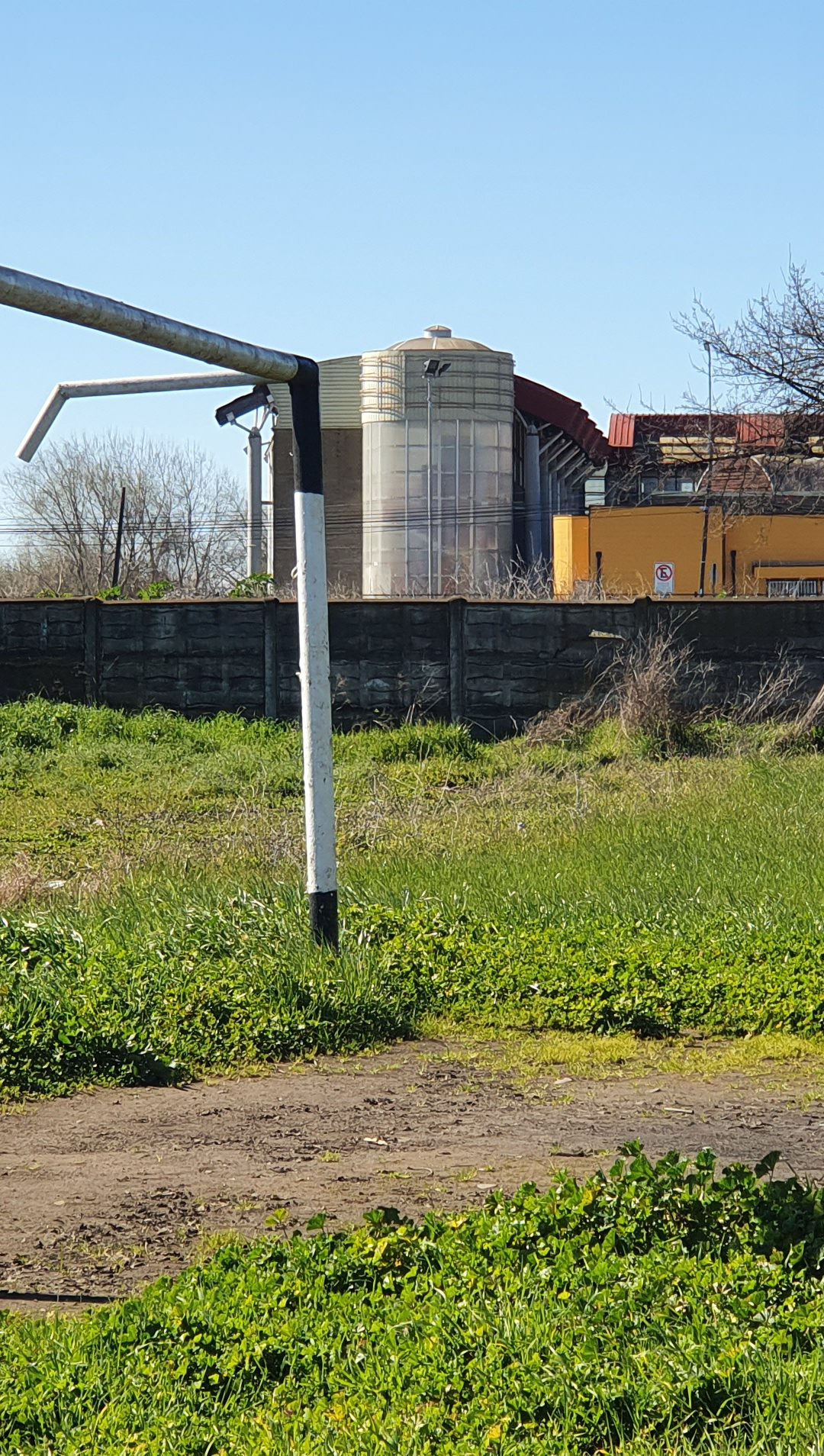 CANCHA VICUÑA MACKENNA TENDRÁ PASTO SINTÉTICO