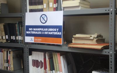 Biblioteca municipal de Los Ángeles retomará la atención a público luego de 7 meses