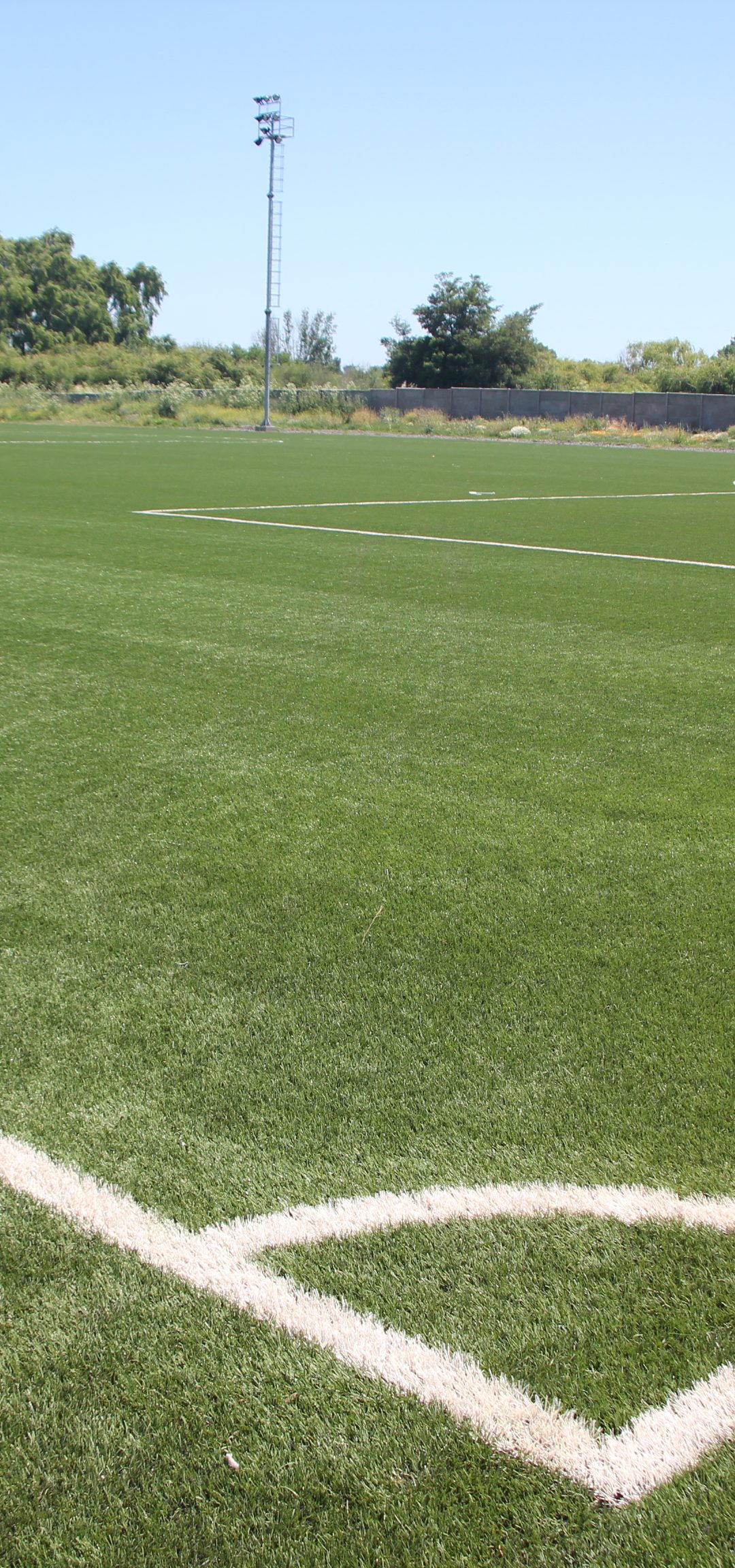 Un 85 por ciento de avance presentan las cinco canchas de pasto sintético que se construyen en Los Ángeles