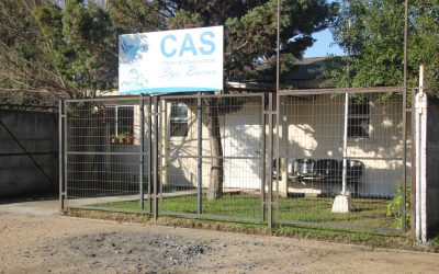 ¿Qué son y cómo funcionan los Centros de Atención Social (CAS) municipales?