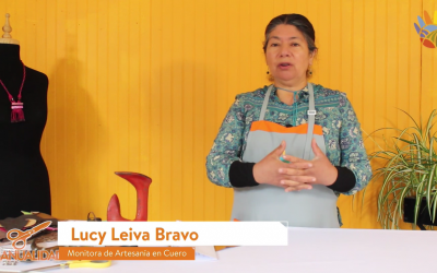 «Monedero de Cuero»: Un nuevo tutorial para aprender con Cemujer