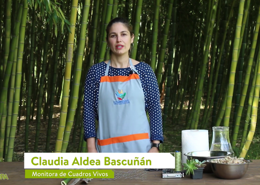 “Cuadro Vivo en marco de Madera con Profundidad «: Un nuevo tutorial de Cemujer