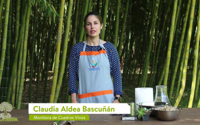 “Cuadro Vivo en marco de Madera con Profundidad «: Un nuevo tutorial de Cemujer