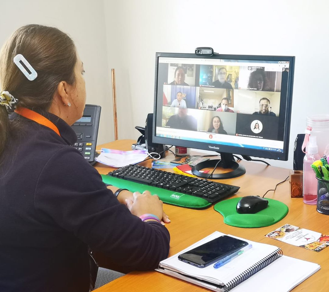Programa familia realizó balance anual 2020 y definió lineamientos para este año