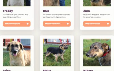 Municipalidad de Los Ángeles habilita web para la adopción de perros