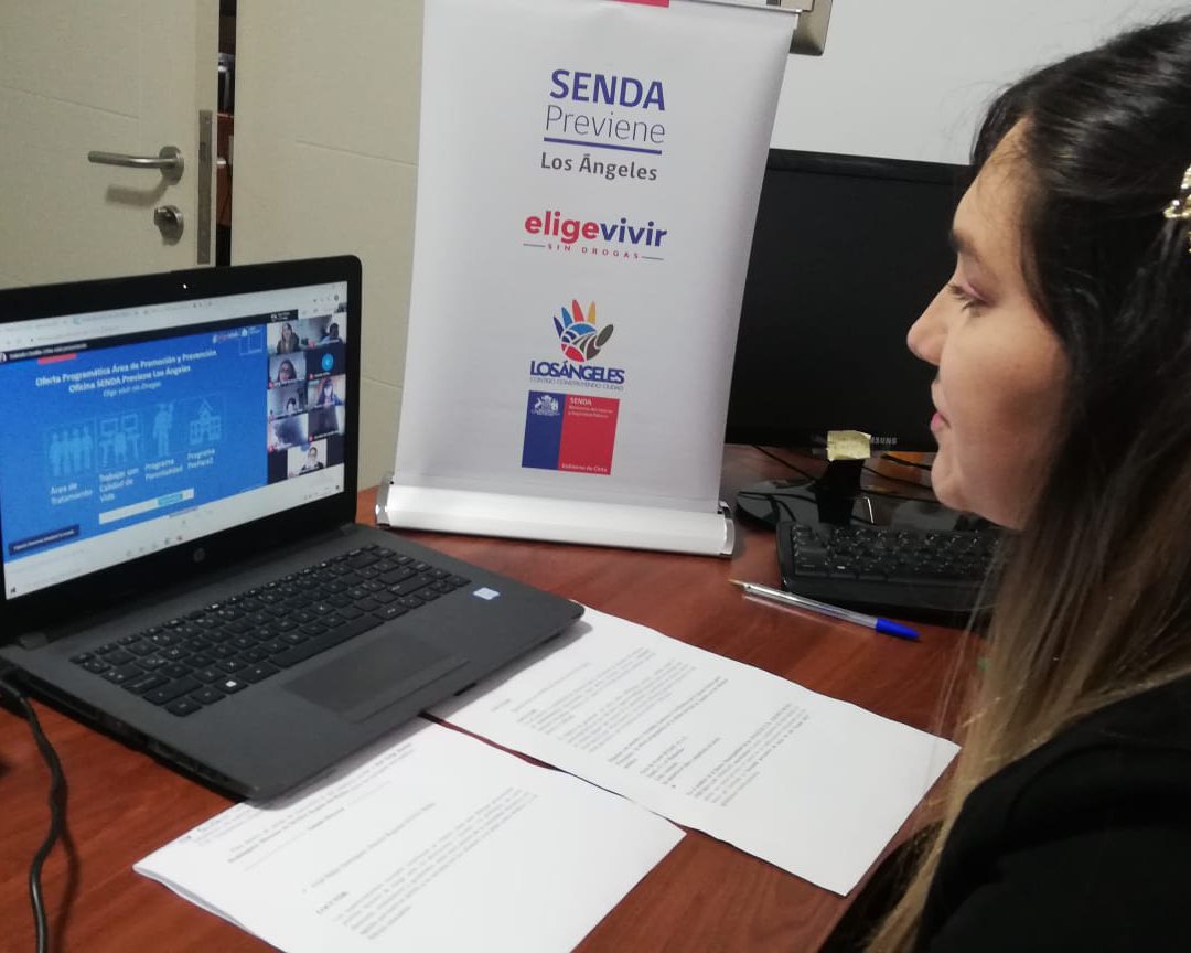 Senda previene capacitó a establecimientos educacionales de Los Ángeles