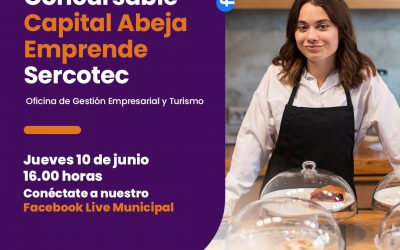 ¿Quieres saber cómo postular a capital abeja de Sercotec?: Oficina de gestión empresarial y turismo realizará conversatorio