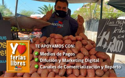 Quedan pocos días para postular al “Fondo para el Desarrollo de Ferias Libres”