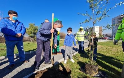 Municipio y Conaf comienzan plantación de especies nativas en el marco del plan de Descontaminación