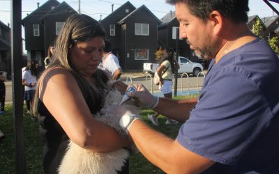 “Municipio en tu barrio” vuelve con atención en terreno