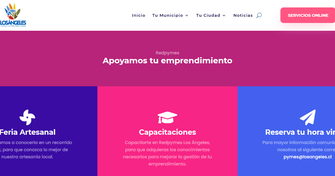 ¿Ya conoces la plataforma virtual Redpyme?