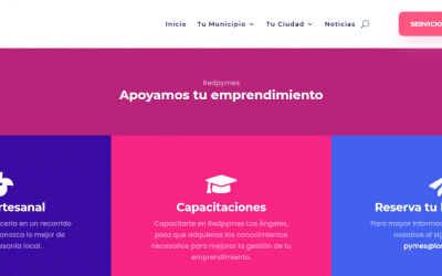 ¿Ya conoces la plataforma virtual Redpyme?