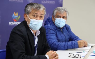 Millonaria inversión del Gobierno Regional para reactivar economía en Los Ángeles