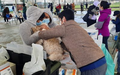 Este sábado las oficinas salen a la calle con el “Municipio en tu barrio”