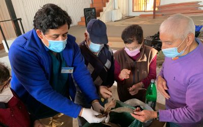 Personas mayores realizan composteras en sus hogares para cuidar el medioambiente