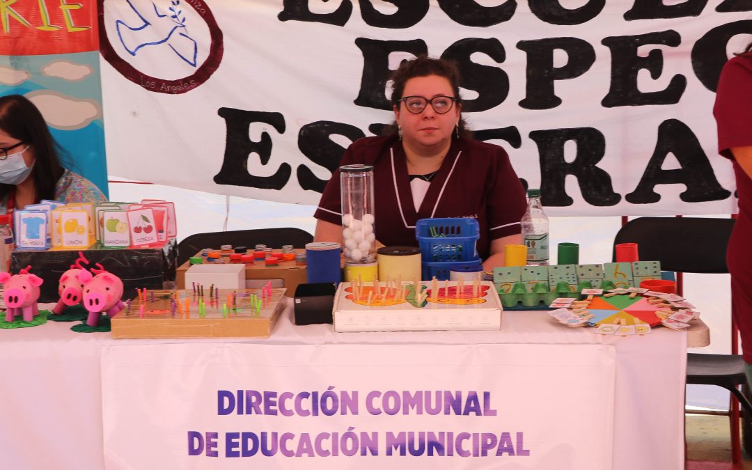 Exitosa séptima versión de la feria inclusiva en discapacidad
