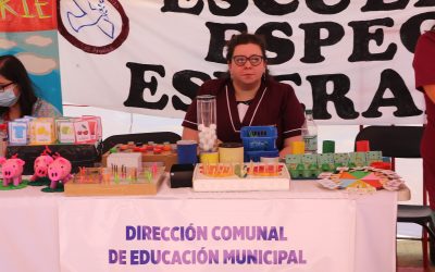 Exitosa séptima versión de la feria inclusiva en discapacidad
