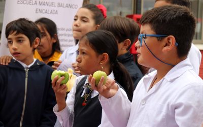 Difunden la importancia que tienen colaciones saludables en la etapa escolar