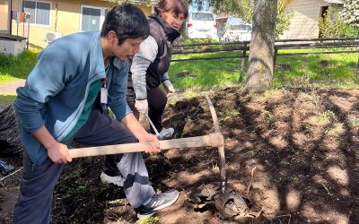 Taller de ornamentación convoca a pacientes crónicos del CESFAM Norte