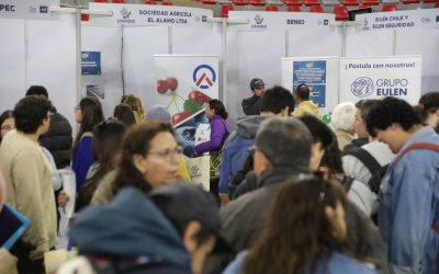 XI Versión de Feria Laboral OMIL 2023