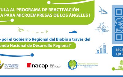 POSTULACIÓN PARA PROGRAMA DE REACTIVACIÓN ECONÓMICA PARA MICROEMPRESAS