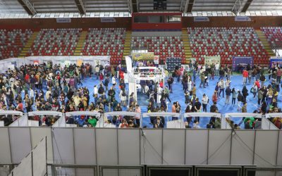 Feria Laboral organizada por Municipalidad de Los Ángeles ofreció 3 mil cupos de trabajo