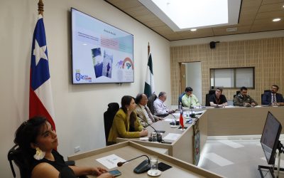 LA SECCIÓN NIÑOS PRESENTÓ PLAN DE ACCIÓN ANUAL AL CONSEJO DE SEGURIDAD