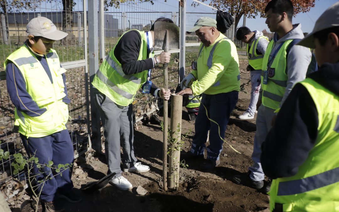 Los Ángeles comenzó con la plantación de 287 árboles en conmemoración de un nuevo aniversario de la comuna