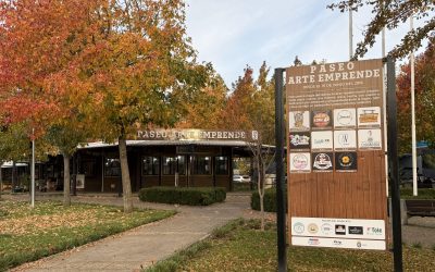 Concejo Municipal acordó instalar cierre perimetral de paseo Arte Emprende en Ricardo Vicuña
