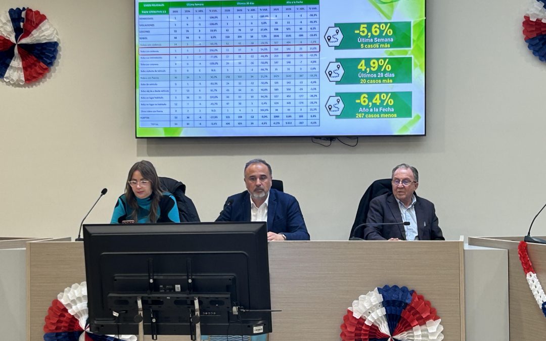 Consejo de Seguridad destacó nueva ley para patrullaje municipal